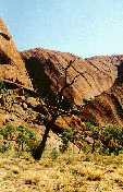 Vagues terrestres d'Uluru